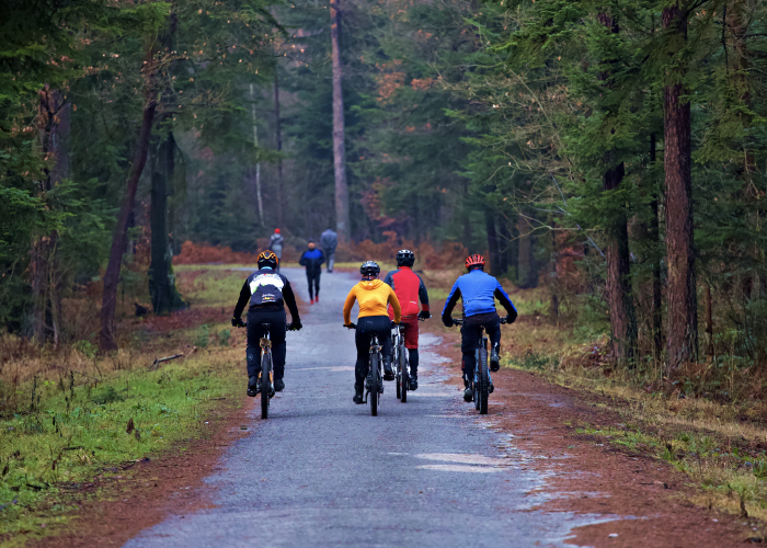 People riding bikes in Gdynia forest